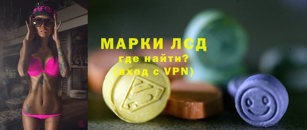 трава Аркадак