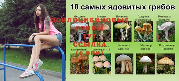 Альфа ПВП Арсеньев