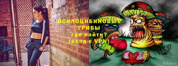 молекула духа Михайлов