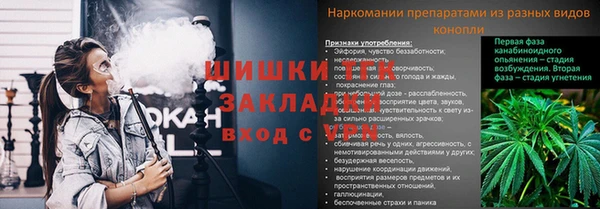 трава Аркадак